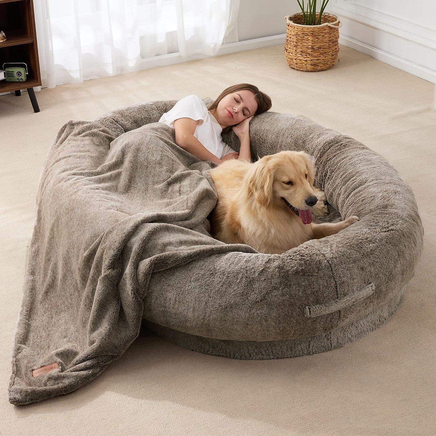 THE CUDDLE LOUNGE