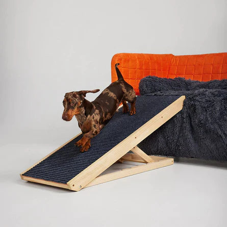 Pet Ramp
