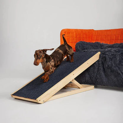 Pet Ramp
