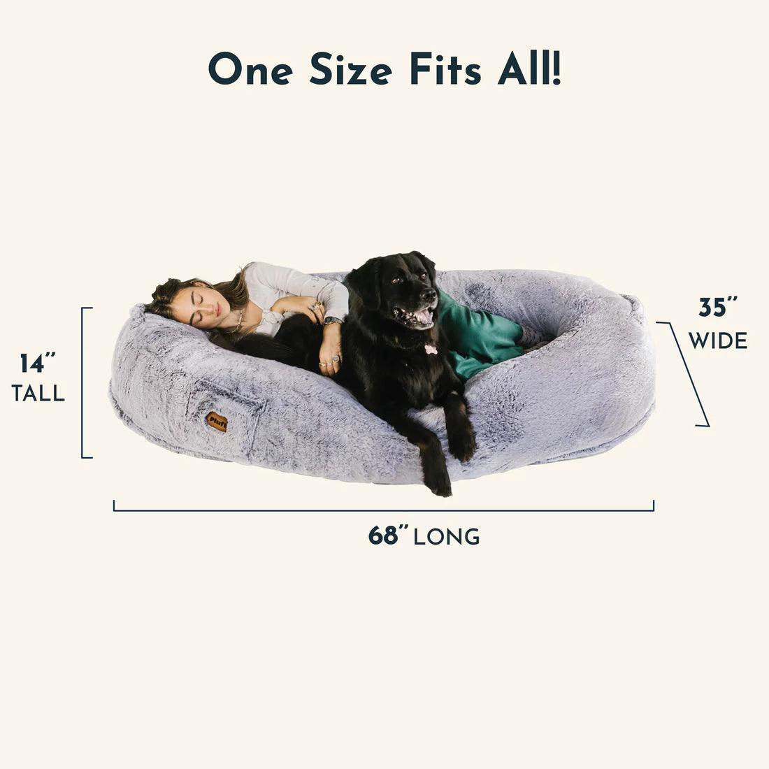 THE CUDDLE LOUNGE